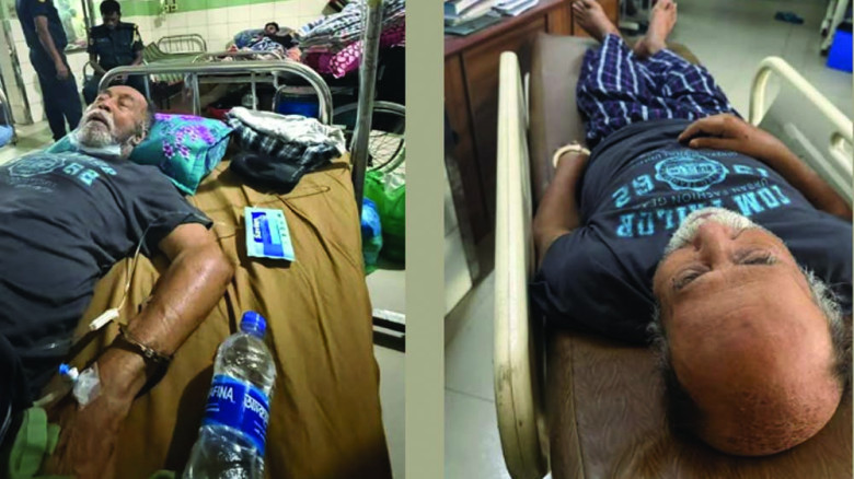 শুরু হয়েছে শীতের মৌসুম, শীতের ফুলে রঙিন প্রকৃতি